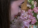 Волгоградские цветы составят композицию на выставке-форуме «Россия» в Москве